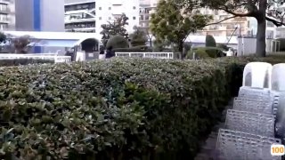 无码精品人妻一区二区三区影院_日本伊人精品一区二区...